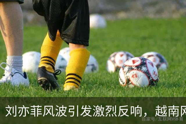 刘亦菲风波引发激烈反响，越南网友愤怒，明星需加以警惕